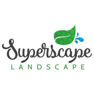 Superscape Landscape