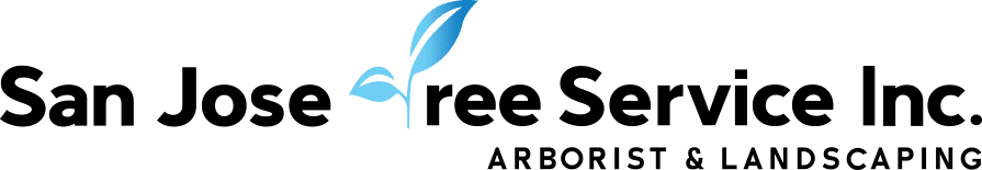 San Jose Tree Service & Landscaping