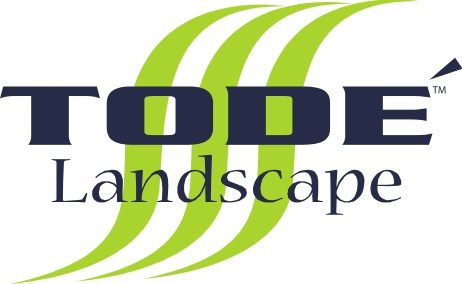 Todé Landscape
